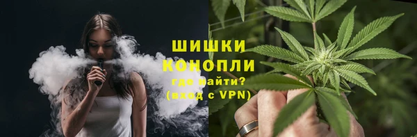 прущие грибы Армянск