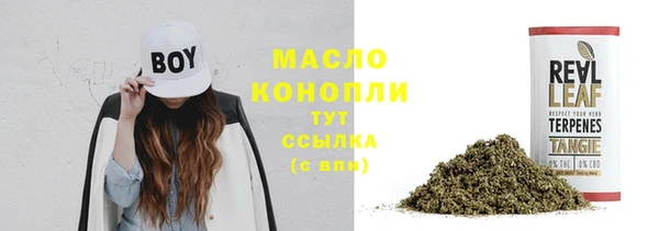 молекула духа Саяногорск