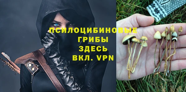 прущие грибы Армянск