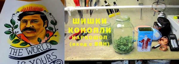 крисы Арсеньев