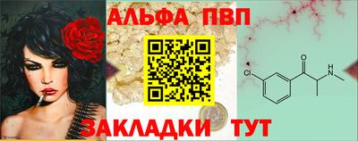 Альфа ПВП Гатчина