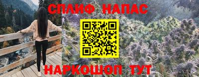 ГАЛЛЮЦИНОГЕННЫЕ ГРИБЫ Гай