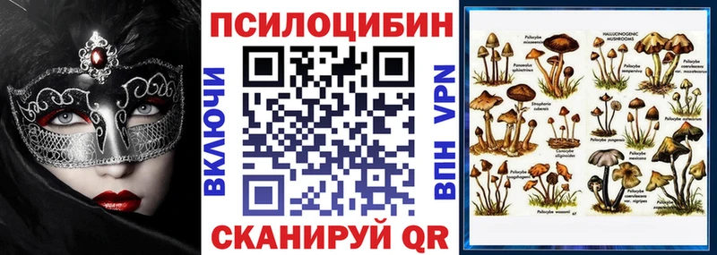 Галлюциногенные грибы Magic Shrooms Нерюнгри