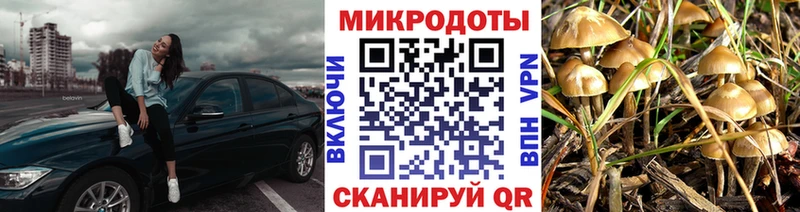 как найти наркотики  Нерюнгри  Псилоцибиновые грибы ЛСД 