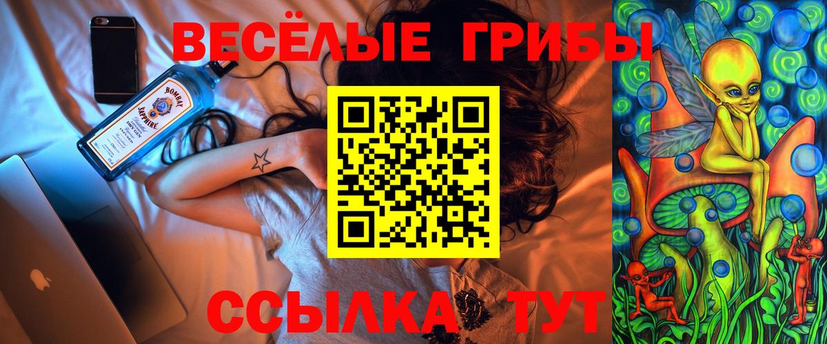 Псилоцибиновые грибы мицелий Нерюнгри